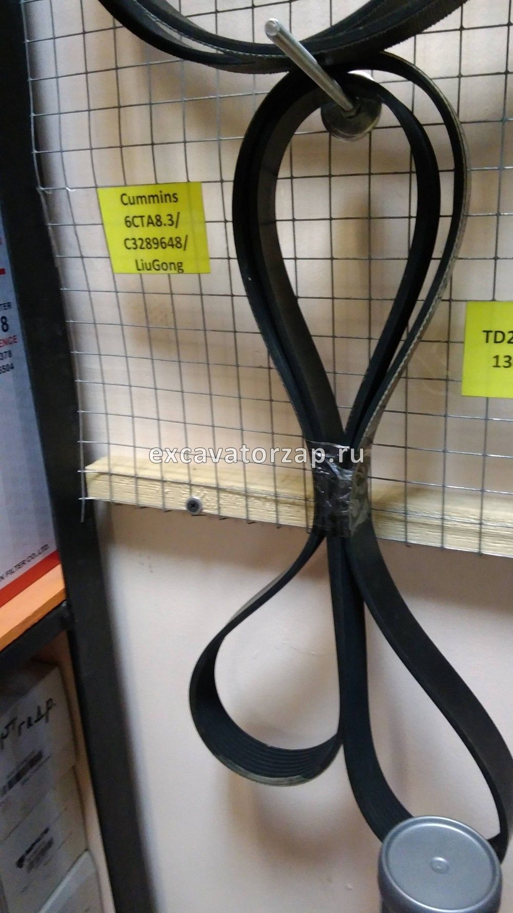 Ремень привода С3289648 дв. Cummins 6CTA8.3